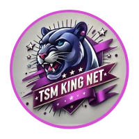 Tsm King Net VPN